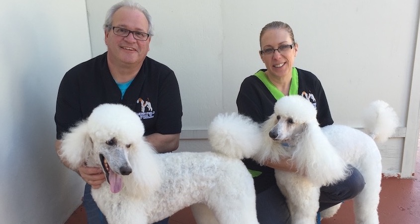 Pinky's Pet Care mobile grooming in action