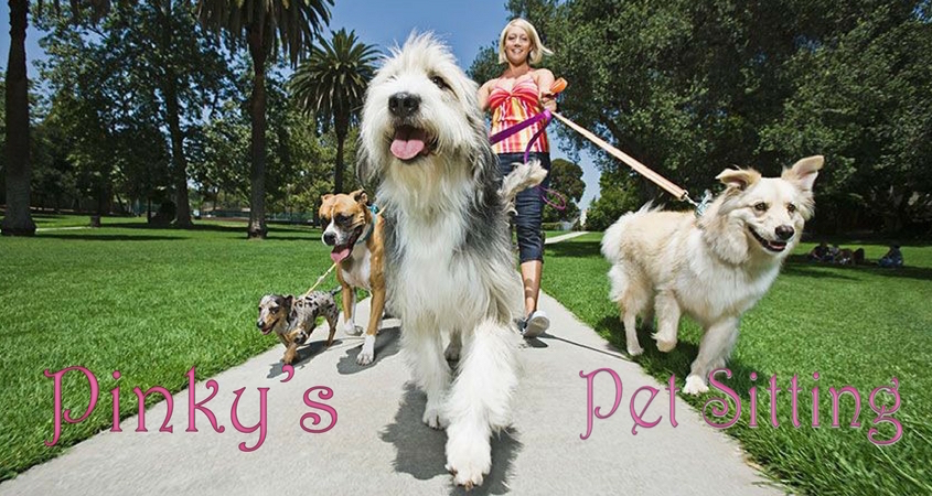 In-home pet sitting